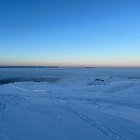 Star 1003 Apartment *