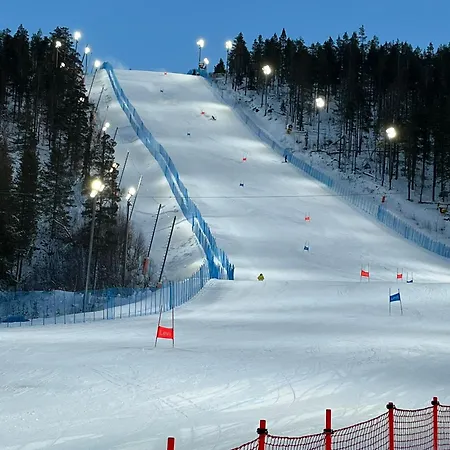 Apartment Star 1003 Levi