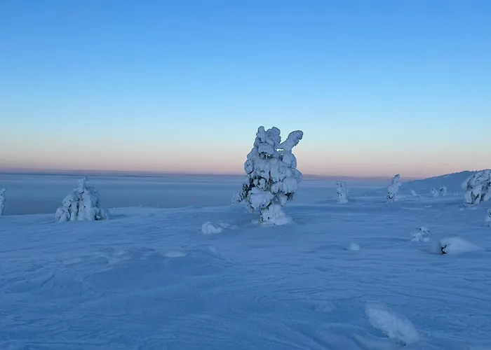 Star 1003 Διαμέρισμα